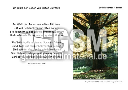 Im Wald der Boden-Dauthendey.pdf